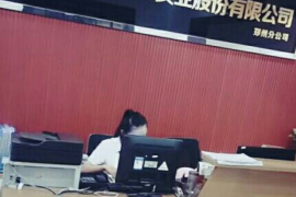 大洼贷款清欠服务